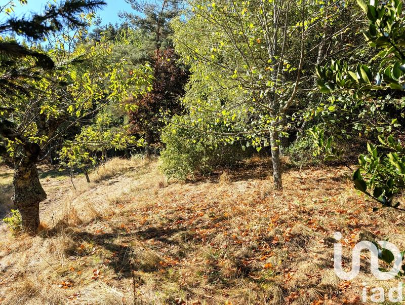 Maison - 55 m² - 3 pièces