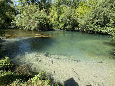 Propriété - 1 300 m² - 15 pièces