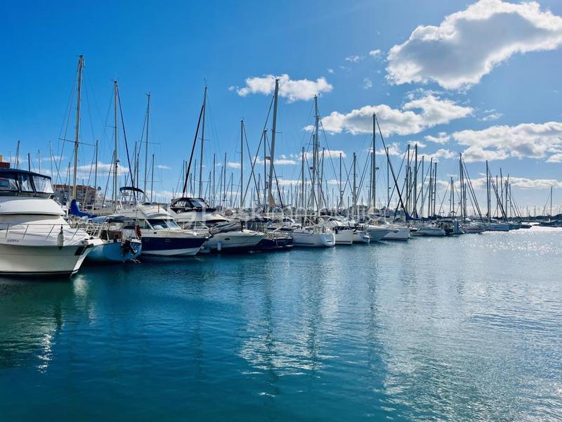 Studio - 15 m² - 1 pièce