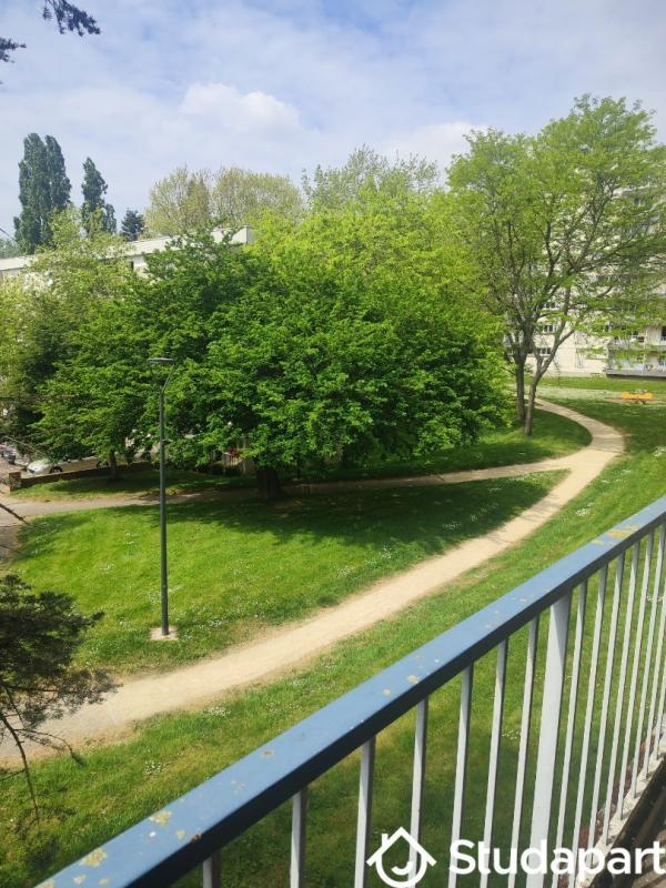 Chambre - 11 m² - 1 pièce