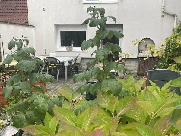 Maison de village - 140 m² - 6 pièces