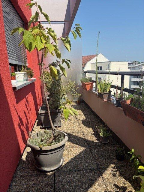 Appartement - 49 m² - 2 pièces