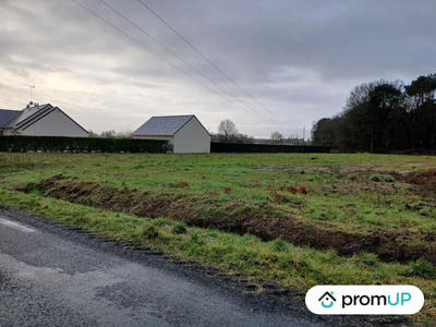 Terrain de loisirs - 4 000 m²