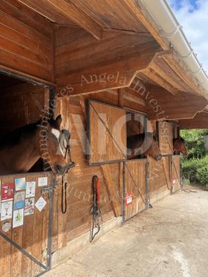 Terrain de loisirs - 30 000 m²