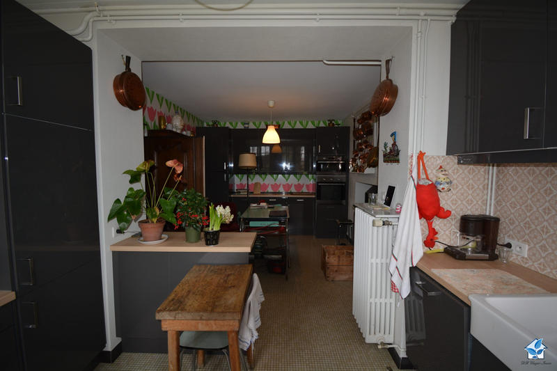 Viager - Maison - 381 m² - 11 pièces