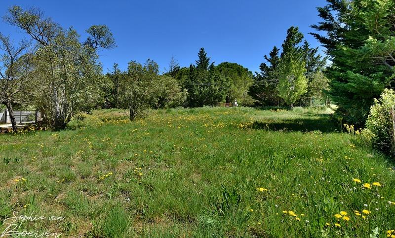 Terrain constructible - 2 800 m²