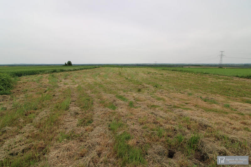 Maison ancienne - 301 m² - 10 pièces