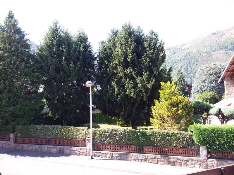 Appartement - 28 m² - 2 pièces