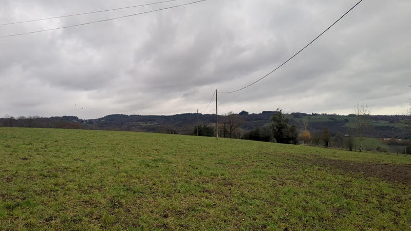 Terrain - 4 503 m²