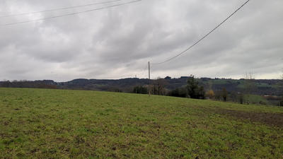 Terrain - 4 503 m²