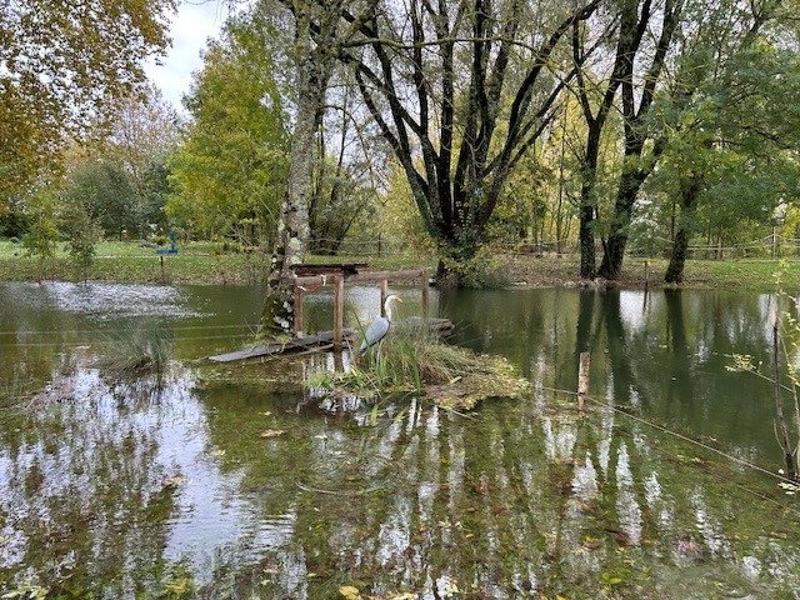 Terrain - 34 265 m²