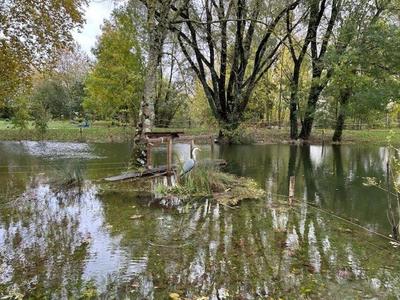 Terrain - 34 265 m²