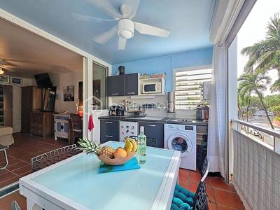 Studio - 24 m² - 1 pièce