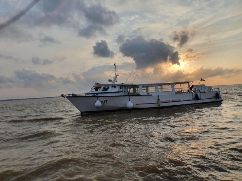 Croisière du dimanche sur l'estuaire à Terres d'Oiseaux