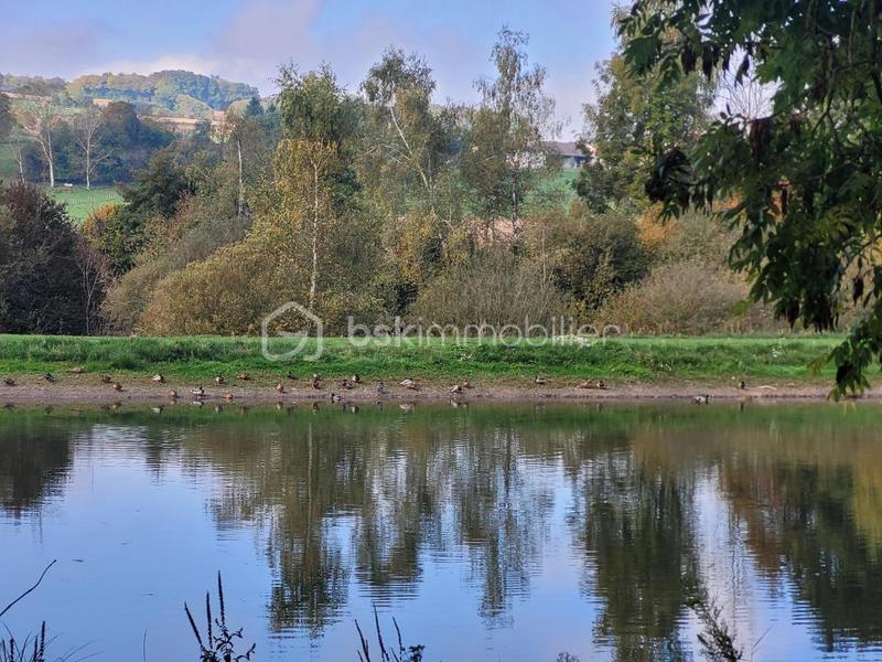 Propriété - 141 m² - 5 pièces