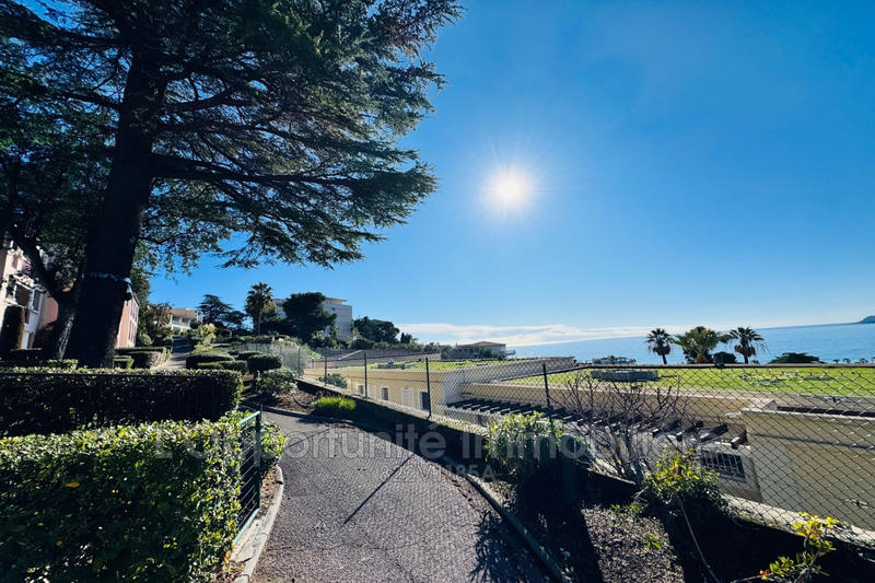 Appartement - 35 m² - 3 pièces