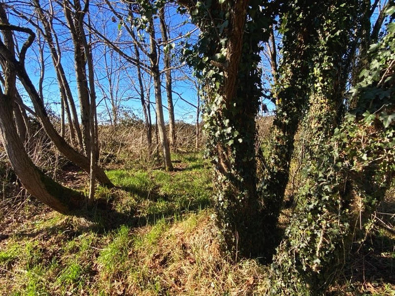 Manoir - 140 m² - 4 pièces