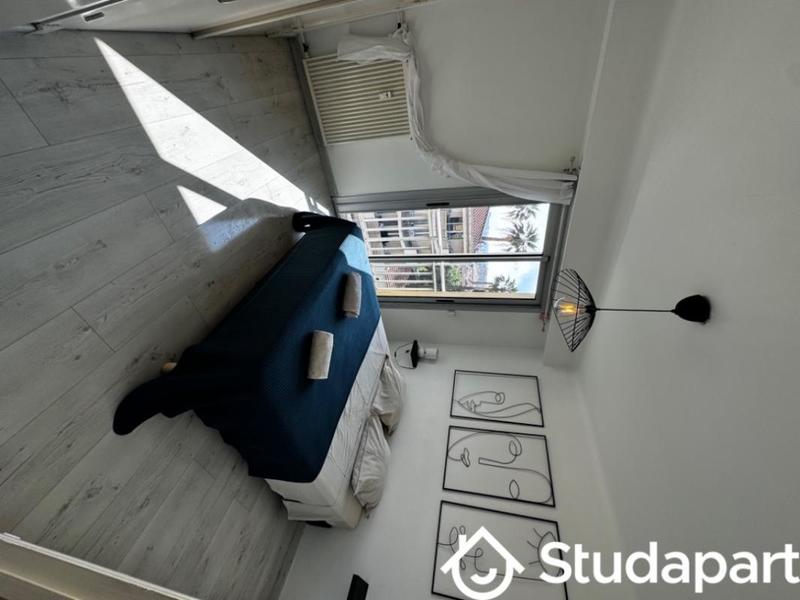 Appartement - 50 m² - 2 pièces