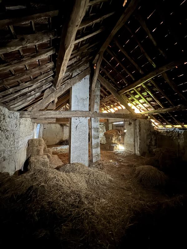 Ferme - 374 m² - 10 pièces