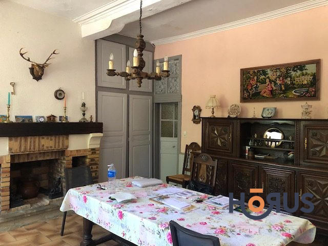 Viager - Maison - 517 m² - 16 pièces