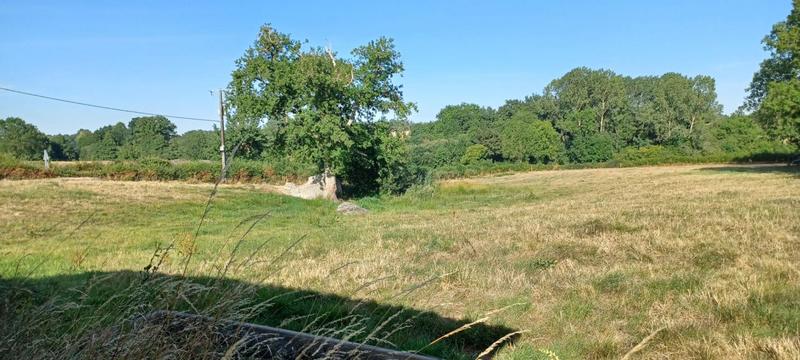 Corps de ferme - 110 m² - 6 pièces