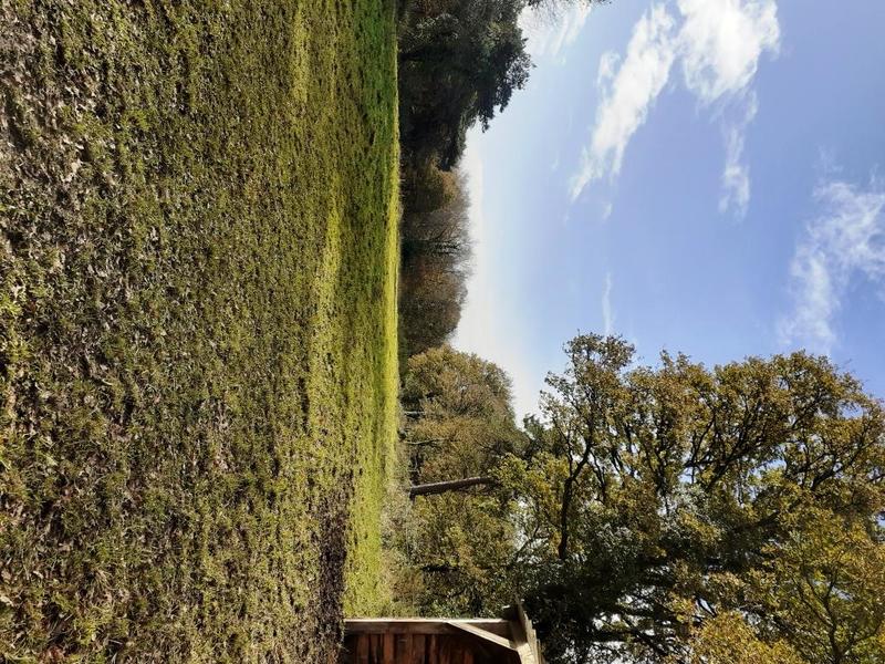 Maison de domaine équestre - 1 m²