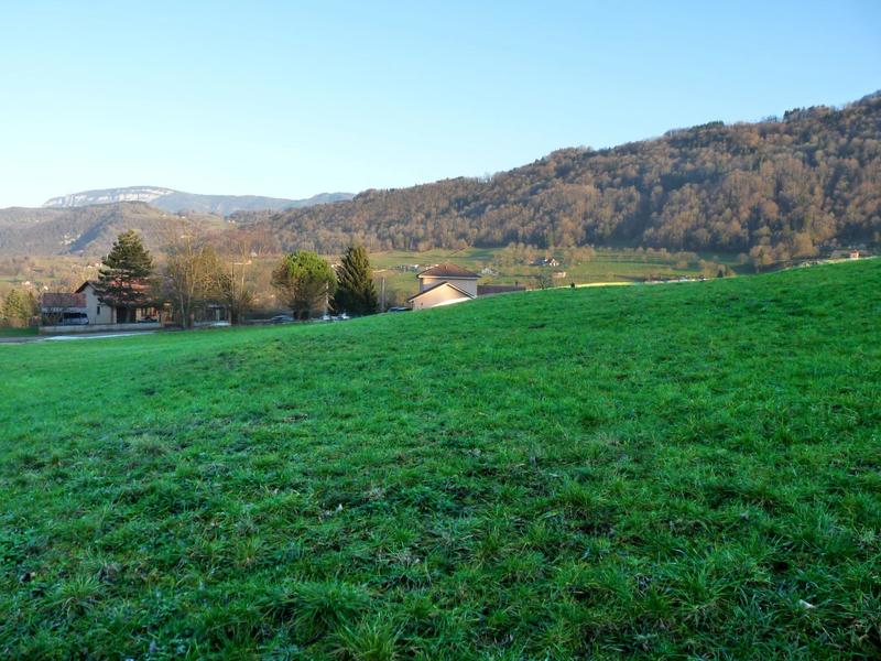 Terrain constructible - 9 954 m²