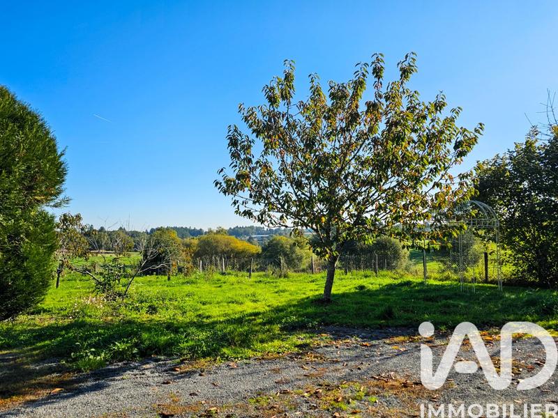 Maison de campagne - 110 m² - 6 pièces