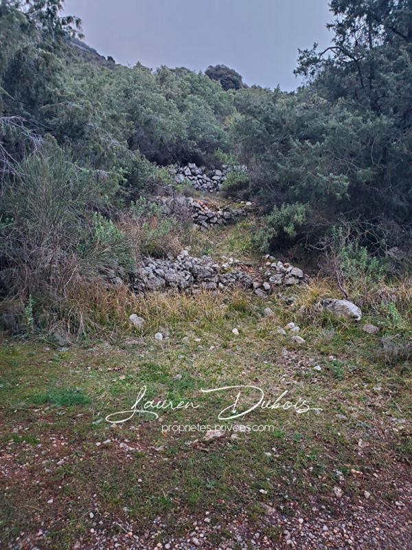 Terrain de loisirs - 9 505 m²