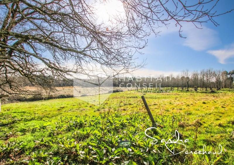 Maison - 355 m² - 7 pièces