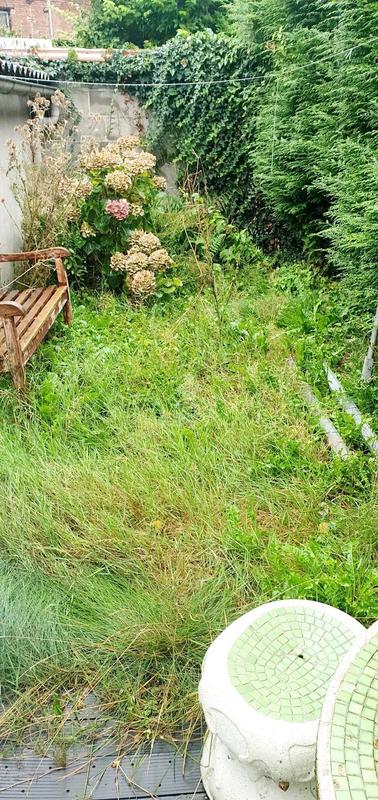 Bureau - 200 m² - 7 pièces