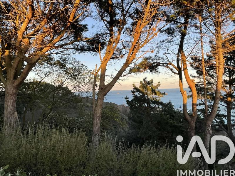 Maison de maîtres - 215 m² - 7 pièces