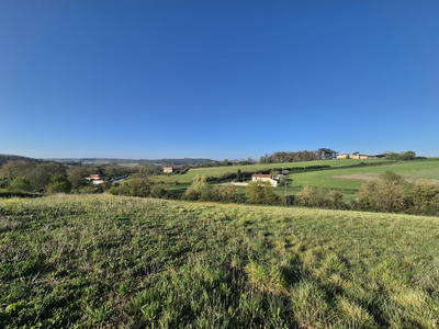 Terrain - 1 238 m²