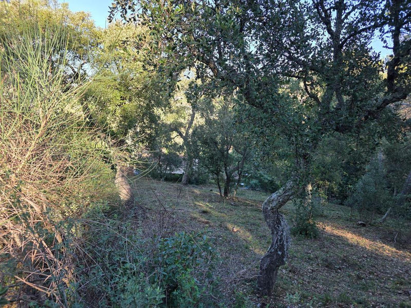 Terrain - 1 500 m²