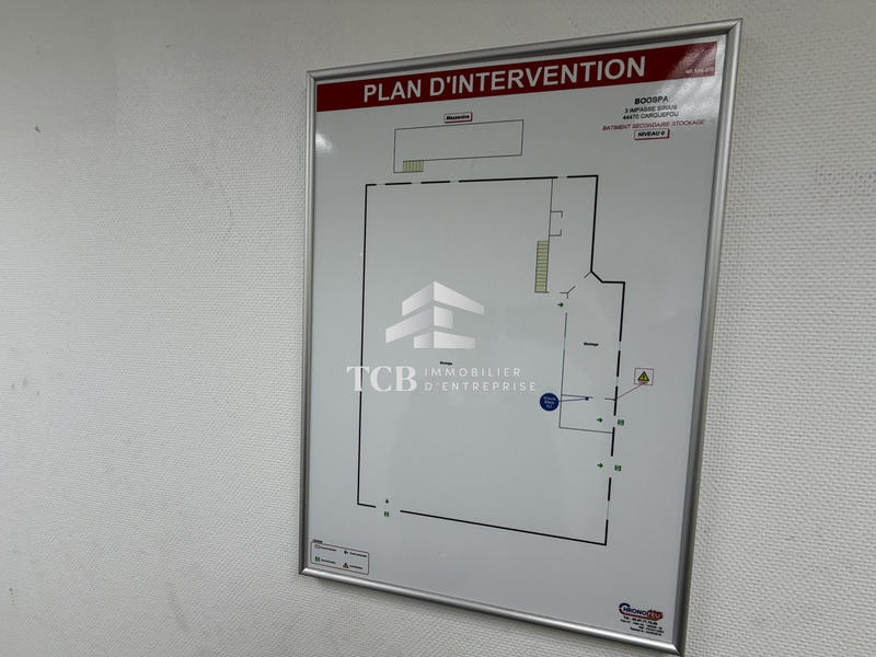 Local d'activités - 546 m²