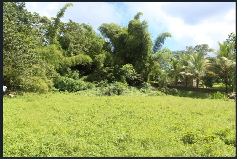 Terrain constructible - 6 130 m²