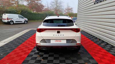 Cupra Formentor 2.0 Tdi 150 Ch Dsg7 4drive Business Edition