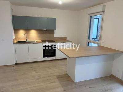 Appartement - 50 m² - 2 pièces