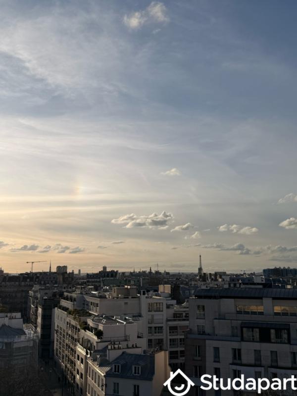 Appartement - 16 m² - 2 pièces