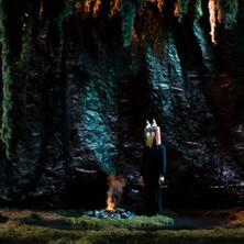 Vers les Métamorphoses