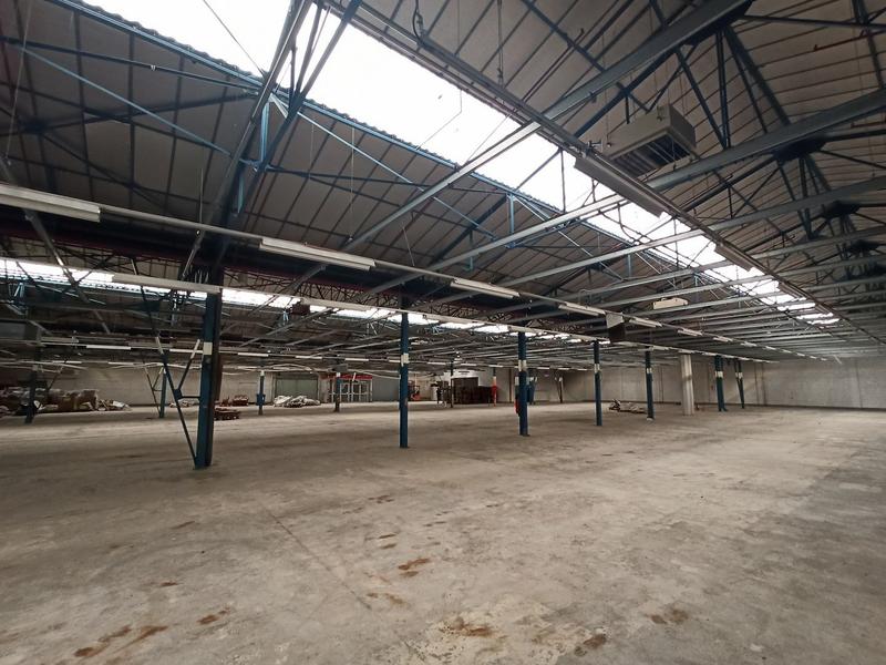 Local commercial - 5 000 m²