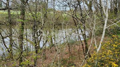 Terrain de loisirs - 24 000 m²