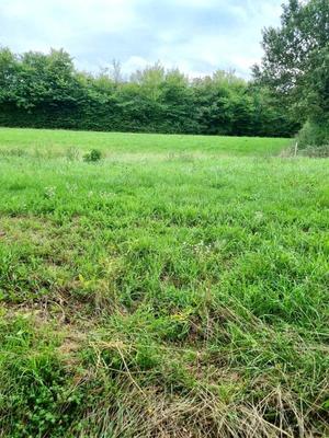 Maison - 80 m² - 3 pièces