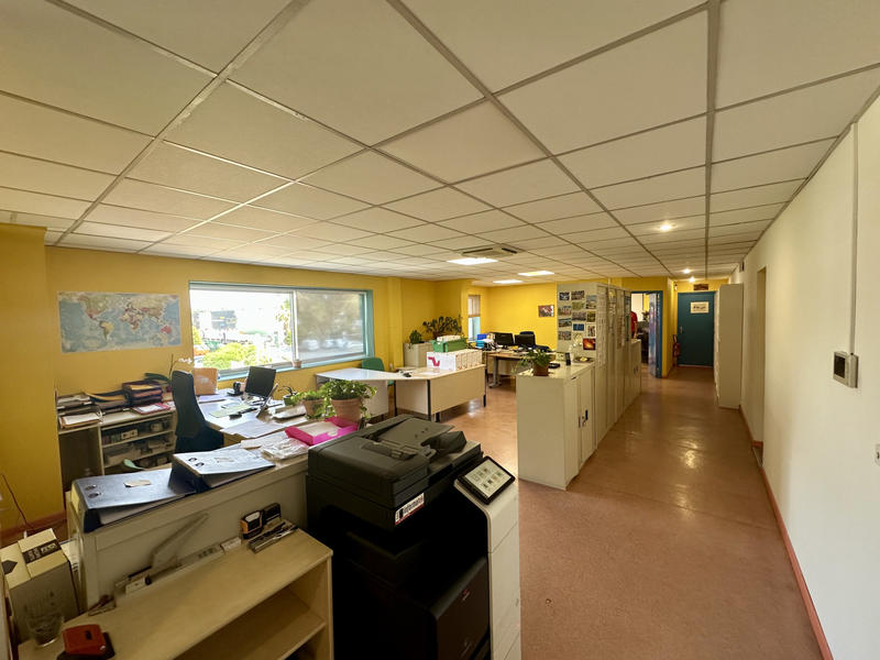 Local d'activités - 980 m²