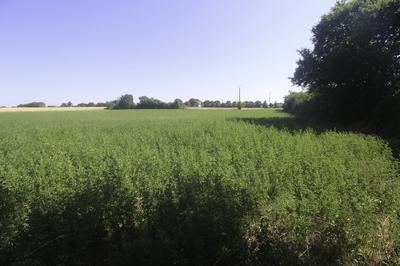 Terrain constructible - 4 397 m²