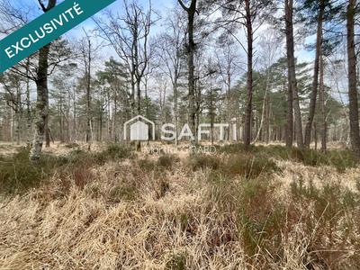 Terrain - 419 062 m²