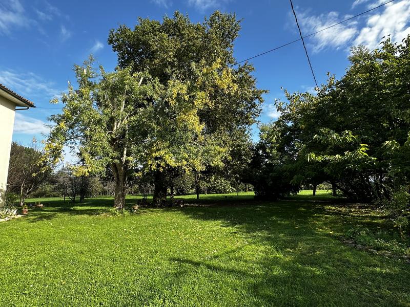 Maison traditionnelle - 302 m² - 7 pièces