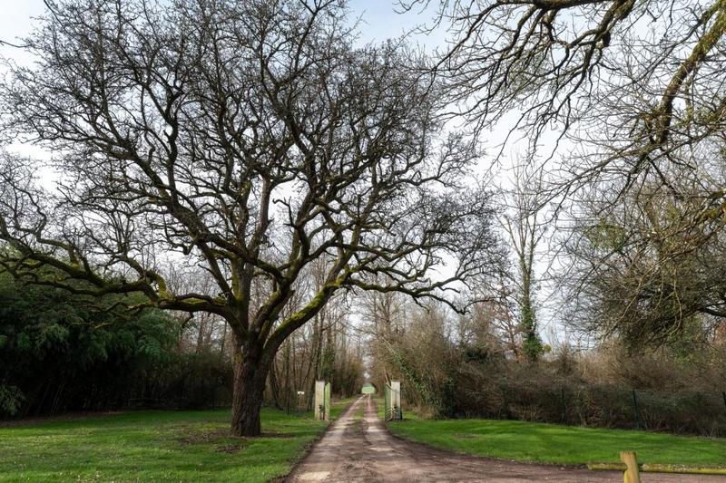 Propriété - 470 m² - 14 pièces