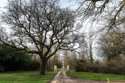 Propriété - 470 m² - 14 pièces