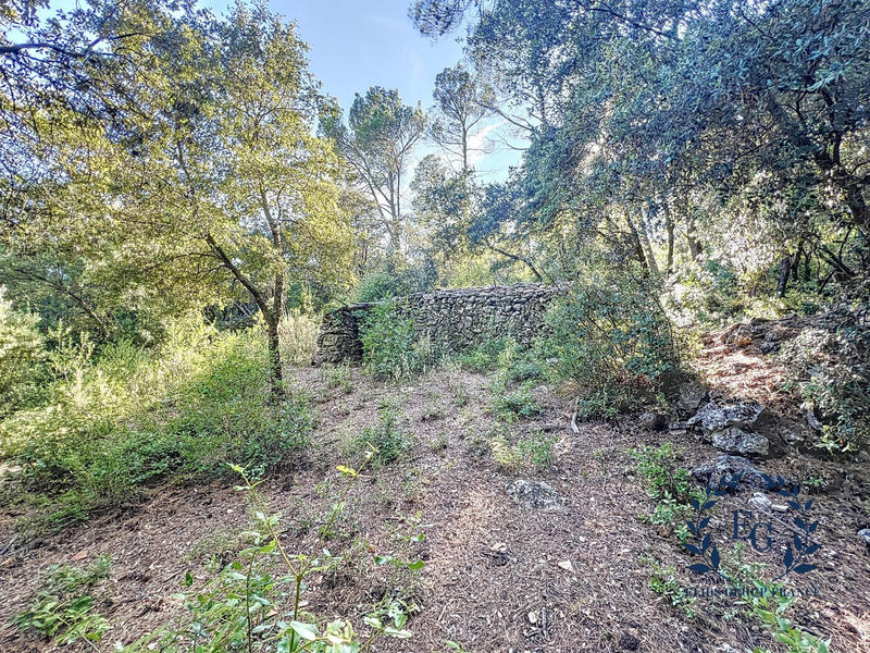 Terrain de loisirs - 20 020 m²